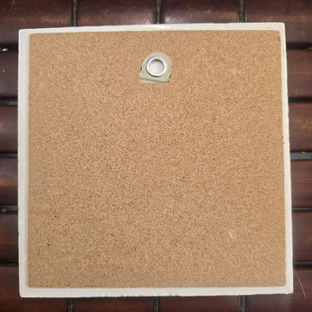 Woman Astronomer w/ Telescope Ceramic Tile Trivet 6